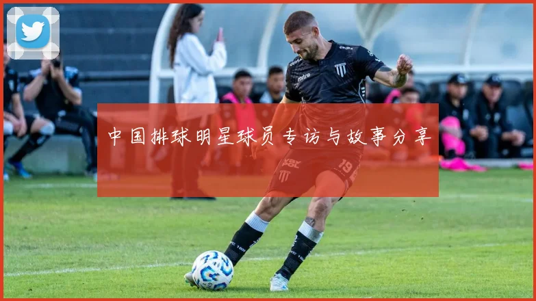 中国排球明星球员专访与故事分享