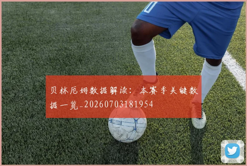 贝林厄姆数据解读:本赛季关键数据一览_20260703181954